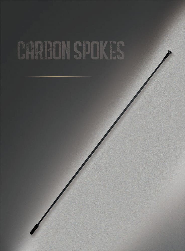 carbon spokes carbon spokes